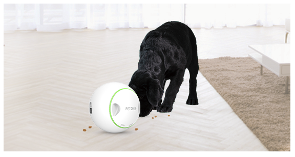  PETGEEK Automatic Cat Feeders, IQ Training Dog Treat Dispenser  with Button & Interactive Dog Bone Automatic Dog Interactive Toy : Pet  Supplies